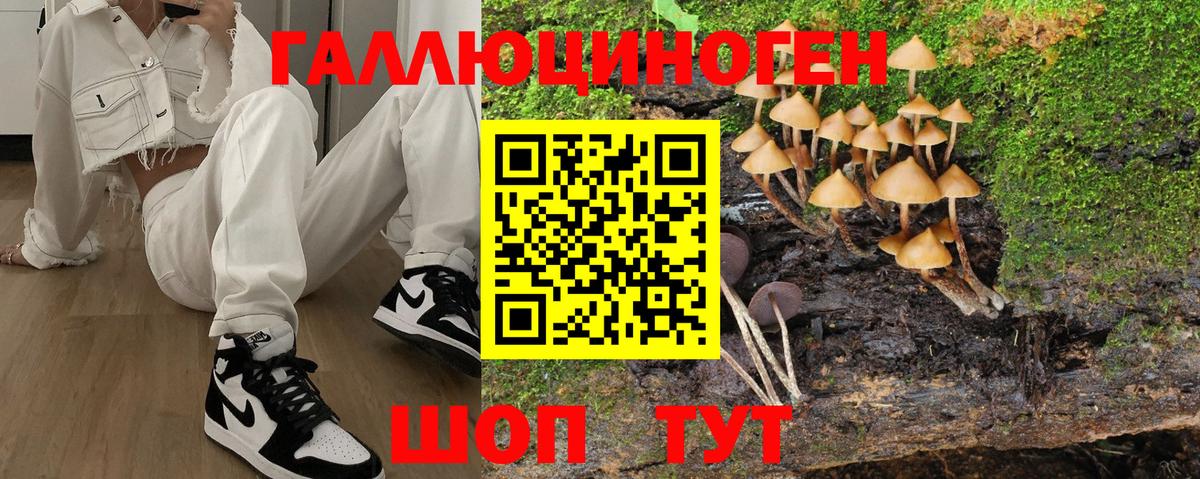 Псилоцибиновые грибы Magic Shrooms Нижнеудинск