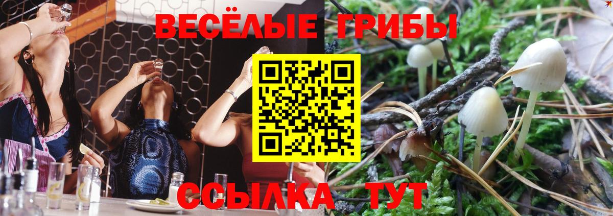 Нижнеудинск  Псилоцибиновые грибы Psilocybine cubensis  Вход с VPN 